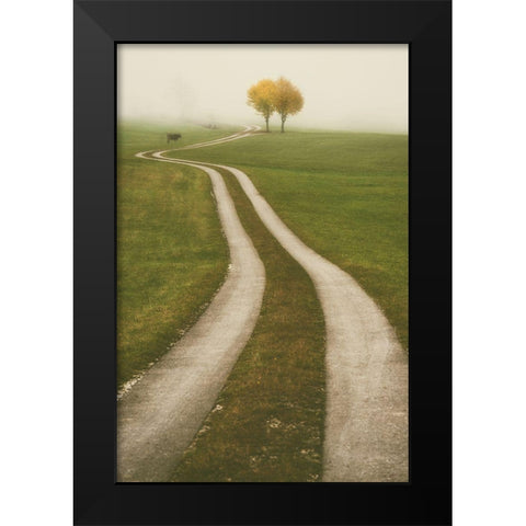 Winding Path Black Modern Wood Framed Art Print by Van de Goor, Lars