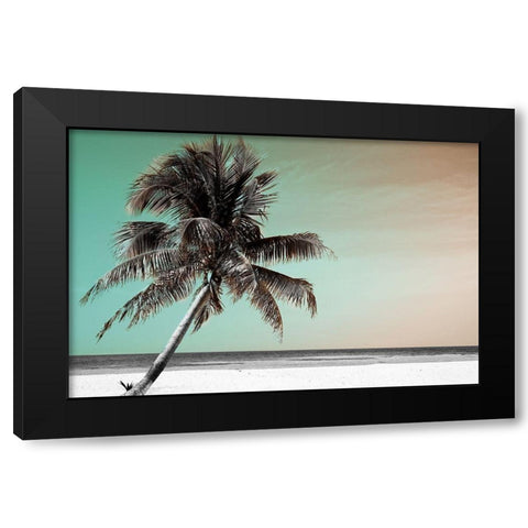 Barrier Reef Black Modern Wood Framed Art Print by Delimont, Danita