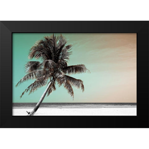 Barrier Reef Black Modern Wood Framed Art Print by Delimont, Danita