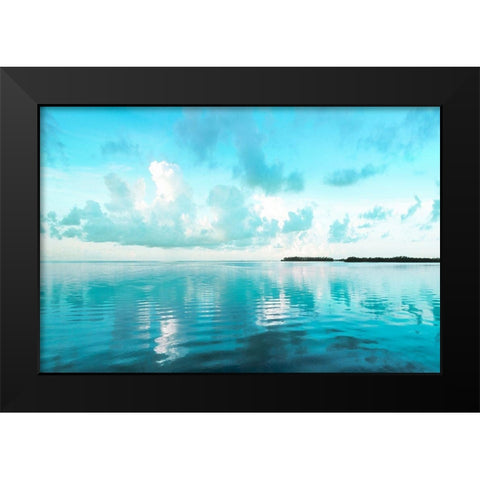 Biscayne Bay Black Modern Wood Framed Art Print by Delimont, Danita