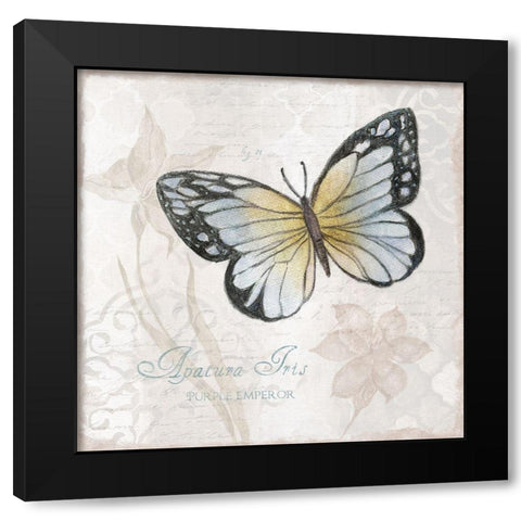 Postcard Butterfly IV Black Modern Wood Framed Art Print by Tava Studios