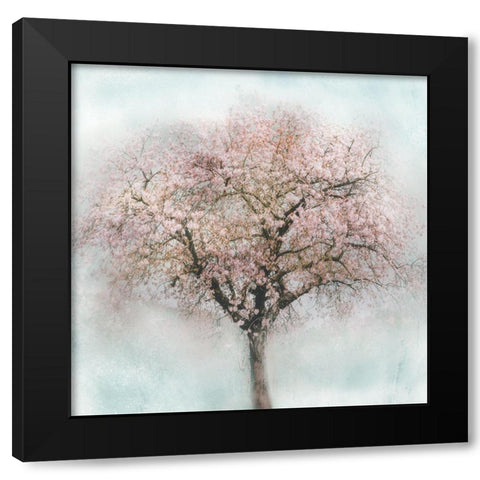 Awakening II Black Modern Wood Framed Art Print by Weisz, Irene