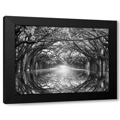 Oak Alley Reflection Black Modern Wood Framed Art Print with Double Matting by Wells, Joanne