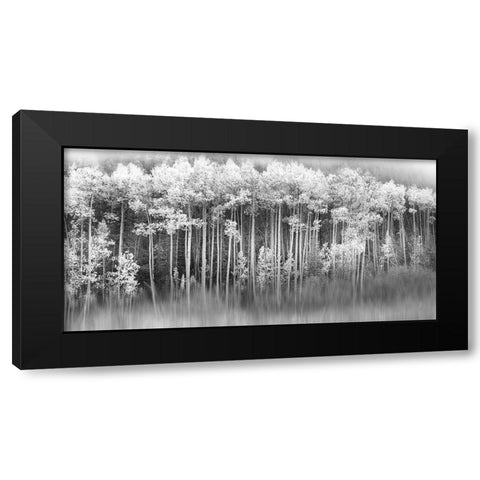 Dreamy Aspen Black Modern Wood Framed Art Print with Double Matting by Miller, Anna