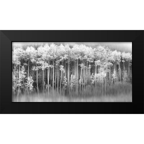 Dreamy Aspen Black Modern Wood Framed Art Print by Miller, Anna