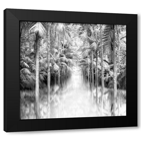 Azores Reflection Black Modern Wood Framed Art Print by Bibikow, Walter