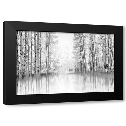 Aspen Reflection Black Modern Wood Framed Art Print with Double Matting by Gulin, Darrell