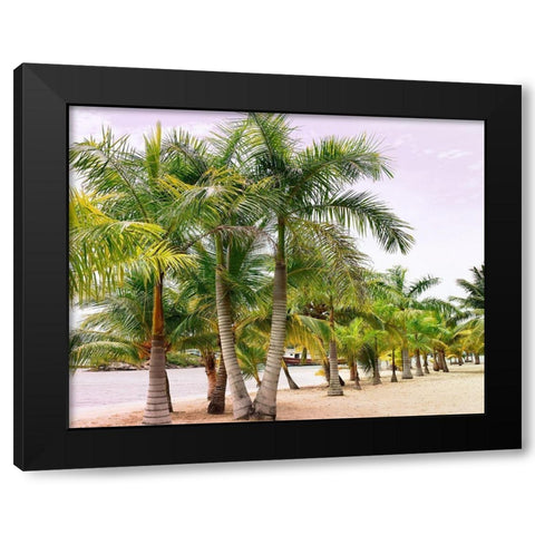 Summer Day Black Modern Wood Framed Art Print with Double Matting by Carpentieri, Natalie