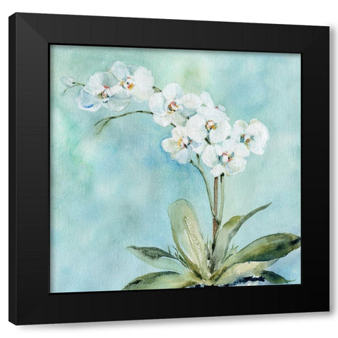 Sunlit Orchid Black Modern Wood Framed Art Print by Robinson, Carol