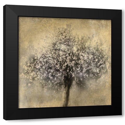 Gold Blossoms Black Modern Wood Framed Art Print by Weisz, Irene