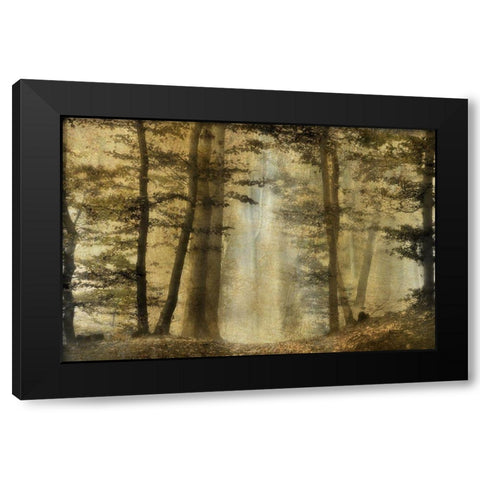 Golden Magic Black Modern Wood Framed Art Print by Weisz, Irene