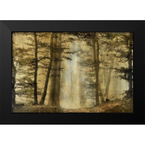 Golden Magic Black Modern Wood Framed Art Print by Weisz, Irene