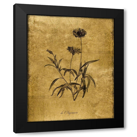 Gold Sketch Botanical I Black Modern Wood Framed Art Print with Double Matting by Donovan, Kelly