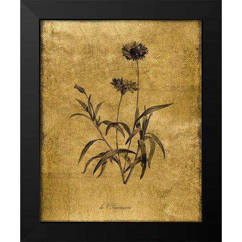 Gold Sketch Botanical I Black Modern Wood Framed Art Print by Donovan, Kelly