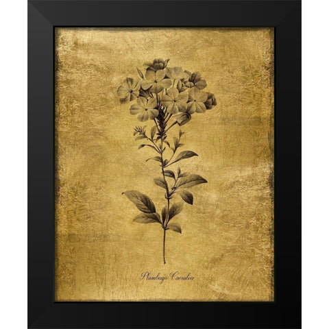 Gold Sketch Botanical II Black Modern Wood Framed Art Print by Donovan, Kelly