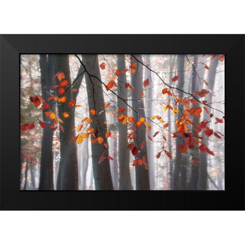 Falling Moments Black Modern Wood Framed Art Print by Weisz, Irene