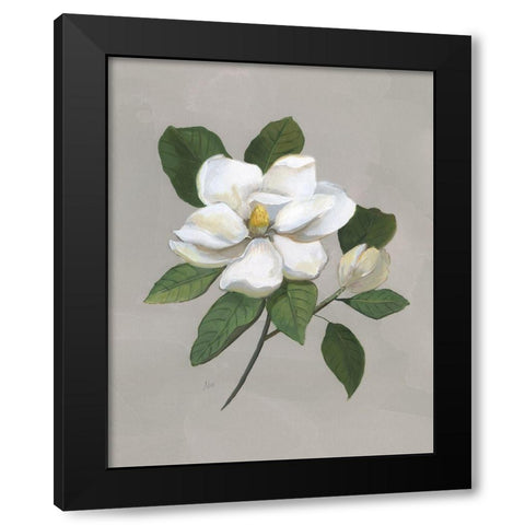 Botanical Magnolia Black Modern Wood Framed Art Print with Double Matting by Nan