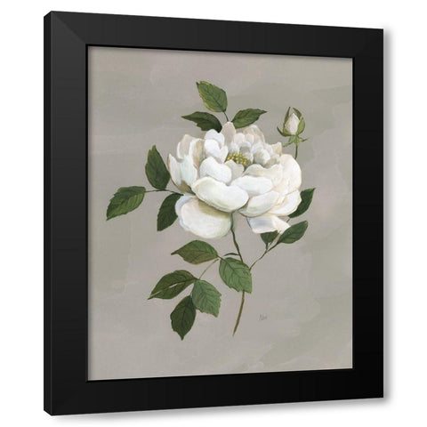 Botanical Rose Black Modern Wood Framed Art Print with Double Matting by Nan