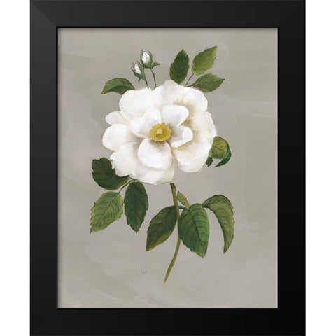 Botanical Garden Rose Black Modern Wood Framed Art Print by Nan