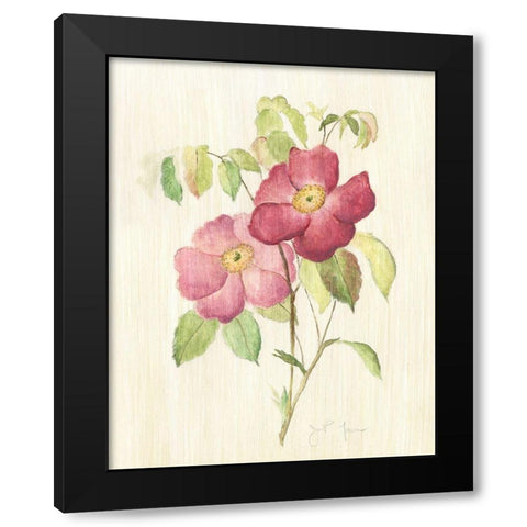 Dusty Rose II Black Modern Wood Framed Art Print with Double Matting by Tava Studios