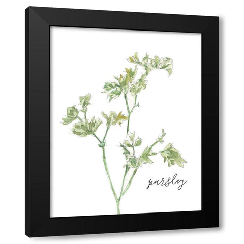 Fresh Sprig Parsley Black Modern Wood Framed Art Print by Robinson, Carol