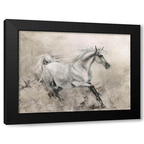 Majestic Stallion I Black Modern Wood Framed Art Print with Double Matting by Brooks, Donna