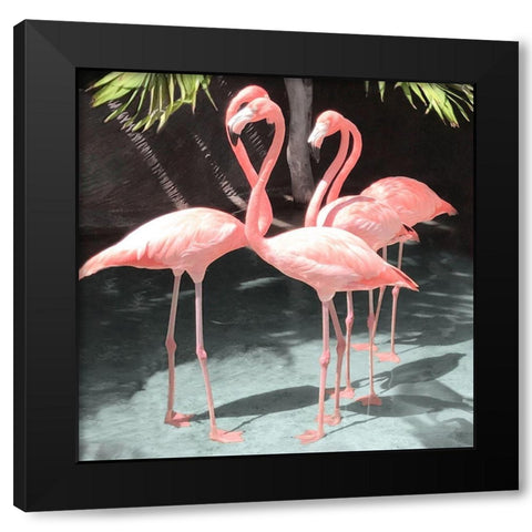 Flamingo Inlet I Black Modern Wood Framed Art Print by Carpentieri, Natalie