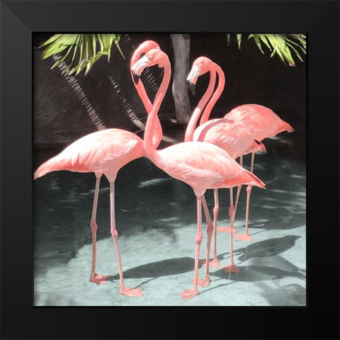 Flamingo Inlet I Black Modern Wood Framed Art Print by Carpentieri, Natalie