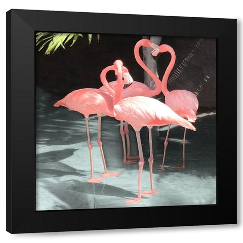 Flamingo Inlet II Black Modern Wood Framed Art Print by Carpentieri, Natalie