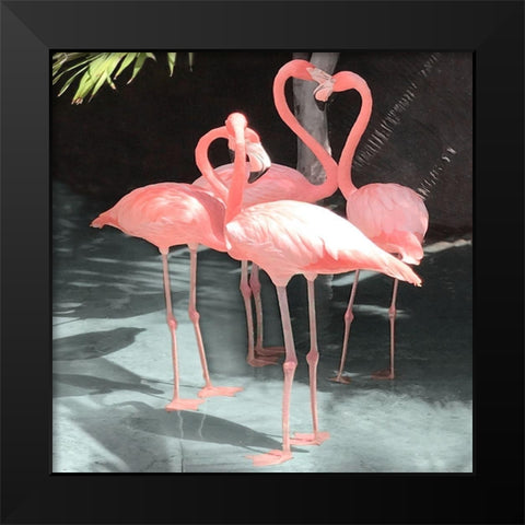 Flamingo Inlet II Black Modern Wood Framed Art Print by Carpentieri, Natalie