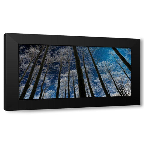 Night Silhouette Black Modern Wood Framed Art Print by Jill, Susan
