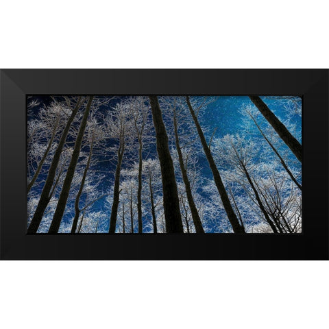 Night Silhouette Black Modern Wood Framed Art Print by Jill, Susan