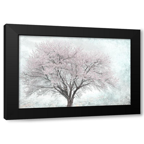 A Feel of Spring I Black Modern Wood Framed Art Print by Weisz, Irene