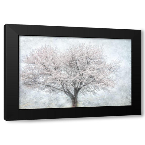 A Feel of Spring II Black Modern Wood Framed Art Print by Weisz, Irene