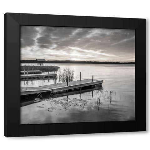 Soft Summer Black Modern Wood Framed Art Print by Hawkins, Peter