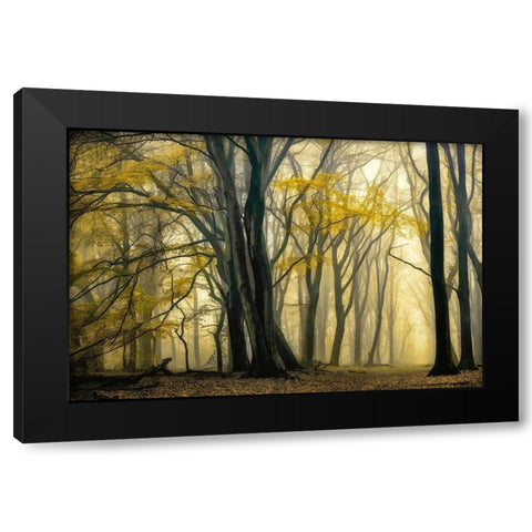 In Love with Golden Fall Black Modern Wood Framed Art Print by Van de Goor, Lars