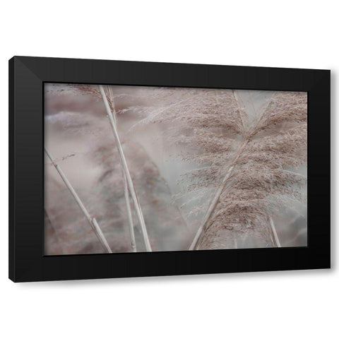 Pampas Field II Black Modern Wood Framed Art Print by Weisz, Irene