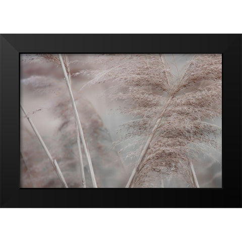 Pampas Field II Black Modern Wood Framed Art Print by Weisz, Irene