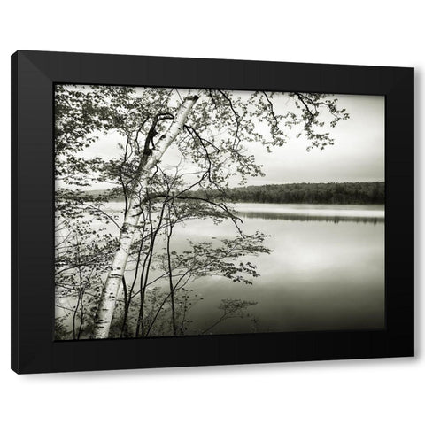 Adirondack Reflections Black Modern Wood Framed Art Print by Murray, Chris