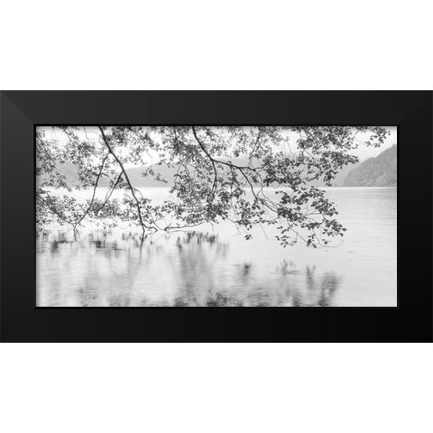 Lake Crescent Black Modern Wood Framed Art Print by Paulson, Don