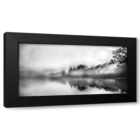 Soft Wonders Black Modern Wood Framed Art Print with Double Matting by Weisz, Irene