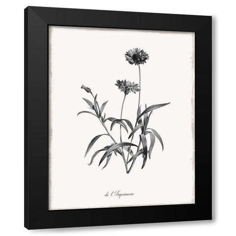 Simply Imperial Black Modern Wood Framed Art Print by Donovan, Kelly