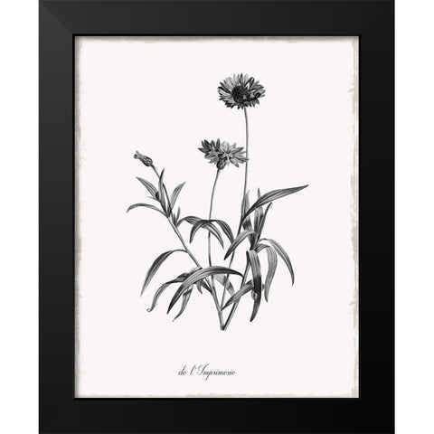 Simply Imperial Black Modern Wood Framed Art Print by Donovan, Kelly