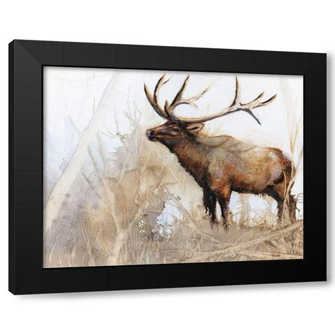 Majestic Moose Black Modern Wood Framed Art Print with Double Matting by Brooks, Donna