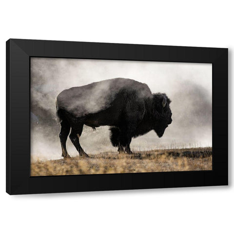 Geyser Basin Black Modern Wood Framed Art Print with Double Matting by Jones, Adam