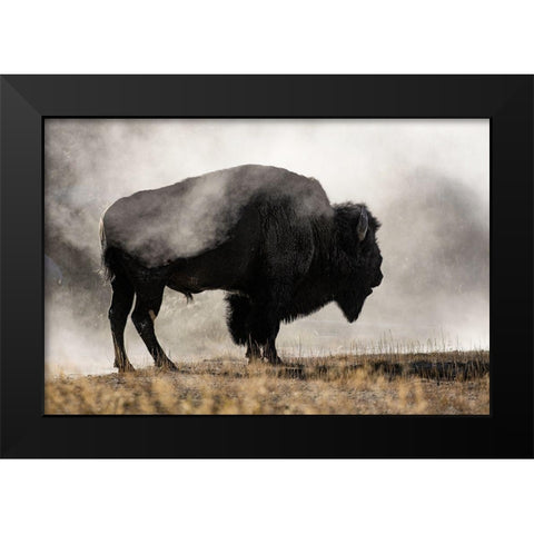 Geyser Basin Black Modern Wood Framed Art Print by Jones, Adam