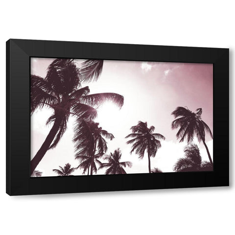 Palm Sunshine Black Modern Wood Framed Art Print with Double Matting by Carpentieri, Natalie