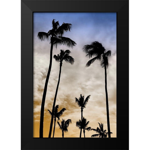 Evenings Edge I Black Modern Wood Framed Art Print by Carpentieri, Natalie