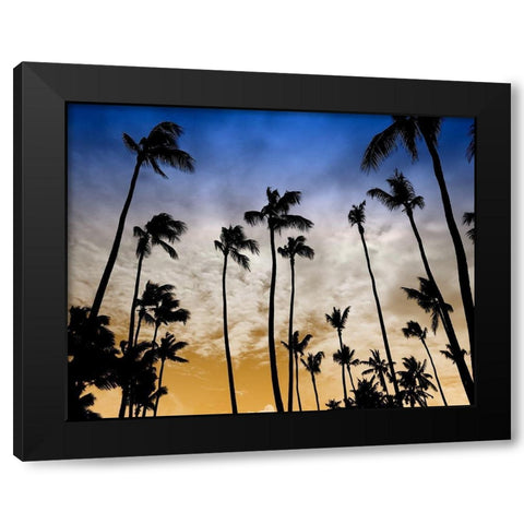 Evenings Edge Black Modern Wood Framed Art Print with Double Matting by Carpentieri, Natalie