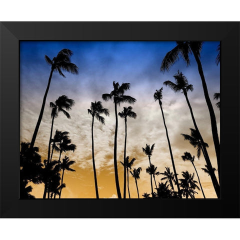 Evenings Edge Black Modern Wood Framed Art Print by Carpentieri, Natalie